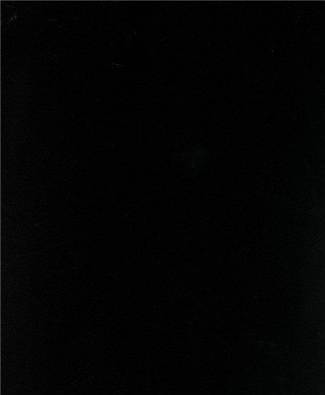 1199S