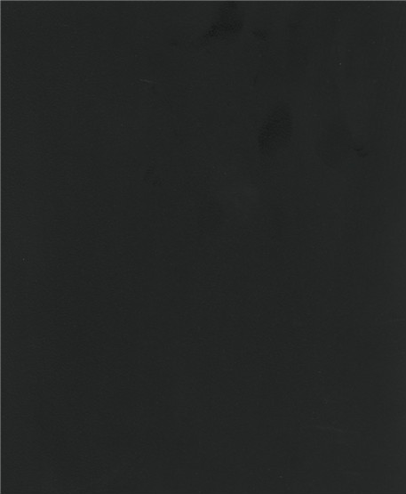 1199SS