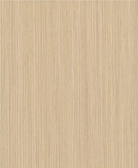 3160NT-C