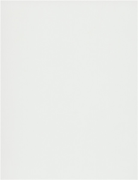 1107BW