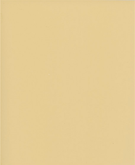 1138S